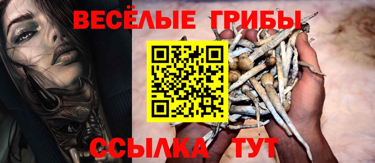 Галлюциногенные грибы мицелий  Вход с VPN  Псков 